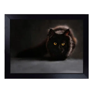 Schwarze Katze Schoß Tablett gepolsterter Sitzsack gepolstert TV Abendessen Essen Frühstück Schreibtisch - Bild 1 von 4