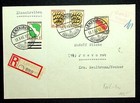 Französische Zone verschiedene Belege zur Auswahl! Neue eingestellt 18.04.25