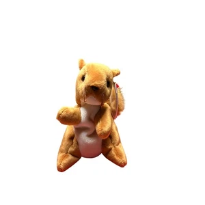Ty Beanie Babies Nuts das Eichhörnchen Plüschtier Stofftier mit Etikett - Bild 1 von 8