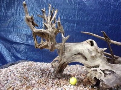 XX-Large Driftwood 21"x42"x15" Aquarium Terrarium Reptile Natural Art - Image 1 of 4