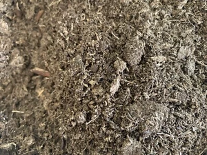 3 Gallon Sphagnum Peat Moss Organic Gardening Planting Soil Amendment - Picture 1 of 2