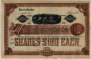 Certificado de acciones de Mount Olive Consolidated Coal & Coke Company de Illinois - Imagen 1 de 1