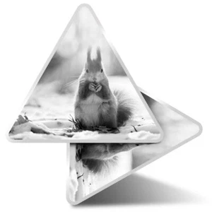 2 x Dreieck Aufkleber 10 cm - BW - entzückende Eichhörnchen Tiere Haustiere #41173 - Bild 1 von 9