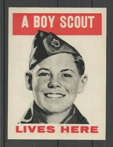 US 'A Boy Scout Lives Here' window decal - Picture 1 of 1