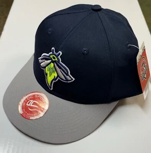 NUEVA Gorra de Béisbol Columbia Fireflies Ligas Menores, JUVENTUD - Imagen 1 de 4