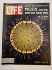 Life Magazine 18 février 1966 Virus and How Your Body Fights Them