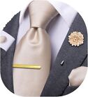 Dubulle Mens Paisley Striped Tie and Lapel Pin with Necktie Clips Handkerchief C