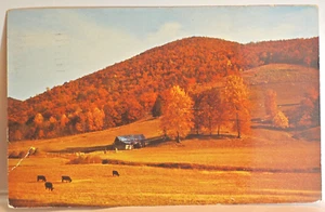 schöne Postkarte Nordostgeorgien - Bild 1 von 2