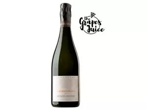 JACQUES SELOSSE SUBSTANCE CHAMPAGNE BRUT BLANC DE BLANCS GRAND CRU FRANCIA - Bild 1 von 1