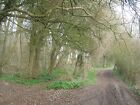 Photo 6x4 North Downs Way in Cane Wood Church Whitfield The long distance c2011