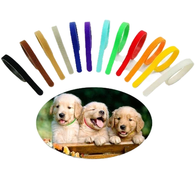 Colliers identification chiot chaton élevage - Photo 1/3