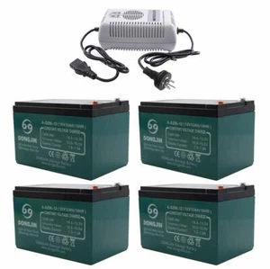 4x 12V 12AH 6-DZM-12 Battery 48V Charger Electric Scooter EBIKE Buggy ATV GoKart - Picture 1 of 6