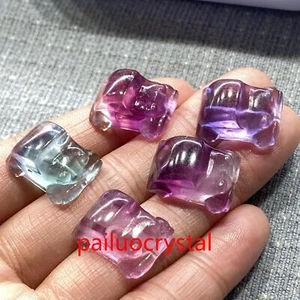 5pcs Natural Fluorite Car Skull Mini Quartz Crystal Skull Gem Reiki Healing - Imagen 1 de 9
