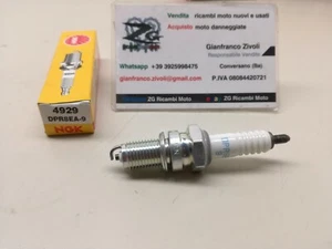 NUOVO NGK DPR8EA-9 candela 4929 spark plug SUZUKI DUCATI KAWASAKI CAGIVA HONDA - Picture 1 of 2