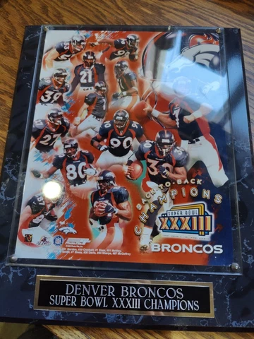 Denver Broncos Super Bowl XXXIII Champions Cover