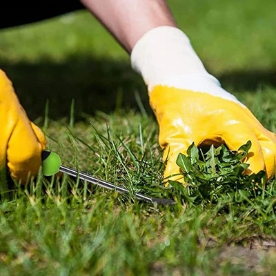  Unkrautjäter Werkzeug Unkraut-entferner Gartenbedarf Hofwerkzeug - Bild 1 von 4