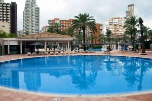 Solana Hotel Swimming Pool Benidorm Costa Blanca Spain Photograph Picture