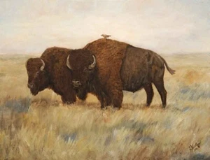 Büffel Akzent & Dekor Fliese Kathy Winkler Tierkunst RW-KW022AT - Bild 1 von 4