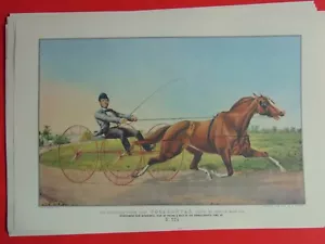 Calendario Currier & Ives stampa topper 1997 POCAHONTAS PACING MARE - Foto 1 di 1