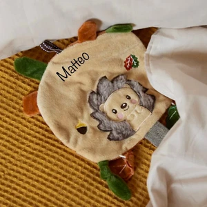 Crackle Hedgehog Piksi Personalised - Picture 1 of 7