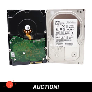 2x HGST 3TB 6GB/s SATA 3.5" HDD HUS723030ALS640 0B26311 Hard Disk - Afbeelding 1 van 4