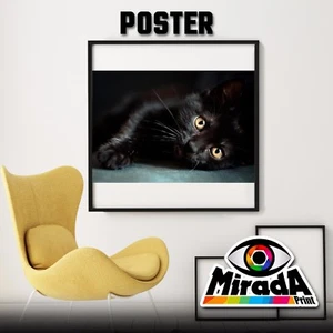 Carteles Gato Negro Cat Negro Ojos Gatito Felino Animales Muebles Casa Top - Imagen 1 de 1