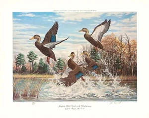 RARO 1978 Jumping Black Ducks on the Chickahominy John Poague MacLeod - Imagen 1 de 5