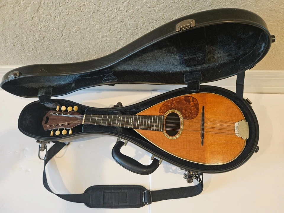 1919 C.F. Martin Style 2 Bowlback Mandolin 玻璃纤维盒 — 第 1/4 张图片