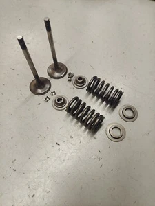 Honda trx450r Exhaust Valves Springs Seats Retainers 04/05 Trx450r - Picture 1 of 5