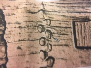 2009 P EC WDDR-010 Lincoln Early Childhood Cent Log Cabin Birthplace Doubled Die - Picture 1 of 1