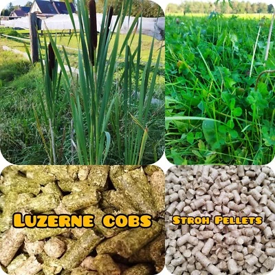 Heucobs Kräutercobs Wiesencobs 8mm 15kg - Bild 1 von 3