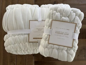 Pottery Barn Teen Cream Puff Set Trapunta e Finta in Microfibra, Avorio, Twin/Twin XL - Foto 1 di 20