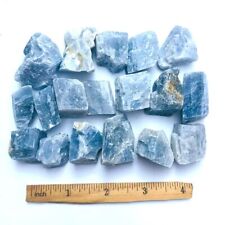 1/2 Lb Bulk Natural Blue Kyanite Chunks: 15-20 Piece Box Lot
