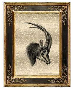 Sable Antelope Art Print on Vintage Book Page Africa Home Office Hanging Decor - Picture 1 of 3