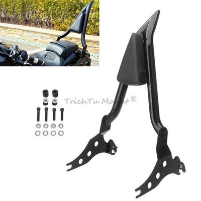 Detachable Rear Passenger Backrest Sissy Bar For Harley Breakout FXSB 2013-2021 Foto 1 de 4