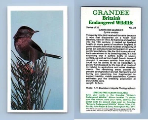 Dartford Warbler #23 Grandee Britain's Endangered Wildlife 1984 Cigarette Card - Picture 1 of 1