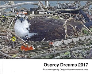 Osprey Dreams 2017 photomontages by Griffeath & Ayres pbk ~ SF Bay Osprey Cam - Picture 1 of 1