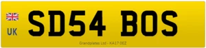 PLACA DE NÚMERO PRIVADA SD54 BOS REGISTRO APRECIADO SD INICIALES BOSS REG - Imagen 1 de 3