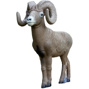 Rinehart 37311 « Scale Signature Bighorn Sheep Target - Picture 1 of 1