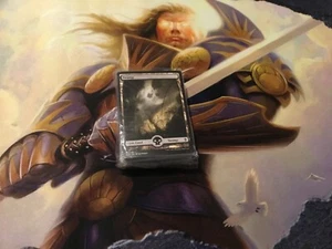 Magic the Gathering - Battle for Zendikar Full Art Land Pack Sealed 80 LANDS - Picture 1 of 1