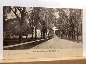 South Winooski Avenue: Burlington, VT - Vintage Postcard - Picture 1 of 3