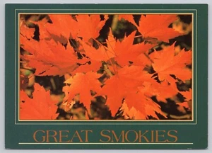 Great Smoky Mountains Tennessee, hojas de arce rojo, postal de colección - Imagen 1 de 2