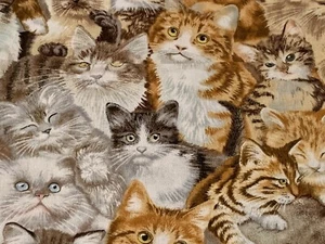 Stoff Katzen Kätzchen Petpourri Baumwolle ELIZABETH 1/4 Yard 1253-MUL Box C - Bild 1 von 7