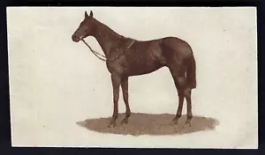 SANDORIDES - FAMOUS RACEHORSES (LUCANA) - #15 THE PANTHER - Picture 1 of 2