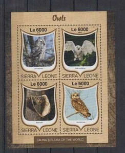 D647. Sierra Leone - MNH - 2016 - Fauna - Tiere - Vögel - Eulen - Bild 1 von 1