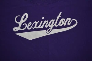 Camisa Lexington 4XL Púrpura Algodón Gildan Hecha en El Salvador - Imagen 1 de 2
