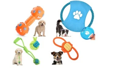Hundespielzeug 4er Set Welpenset Wurfball Frisbee Knochen Zugspiel Quietschtier - Bild 1 von 4