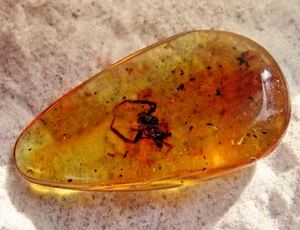 Ámbar con escorpión incrustado 6 grs NATURAL - Imagen 1 de 6