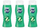 BL   Zest For Men Hair & Body Wash 2-In-1 Fresh Blast 18oz-- THREE PACK