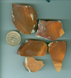 76 grams Natural American Bruneau Jasper Rough Idaho Jasper Jewelry points slab - Picture 1 of 1